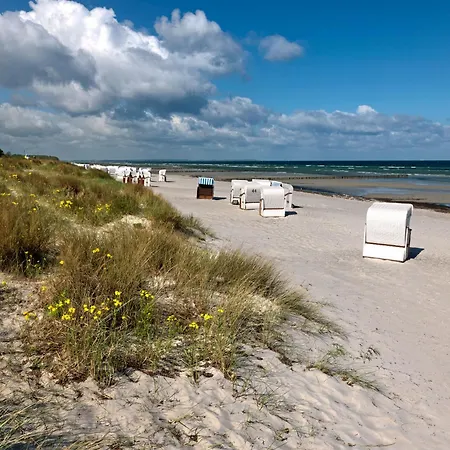 Fischerstieg Hafenblick